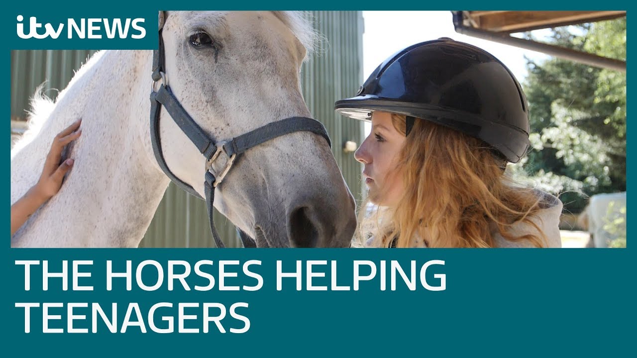Equine therapy - How horses are helping teens mental health